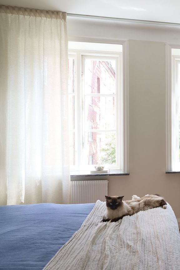 Falsterbo-ivory-cat.jpg